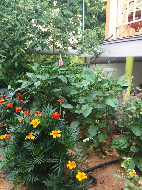 Friendly People'S Guest House Zadar Bagian luar foto